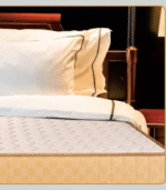 ProActiv Back Mattress