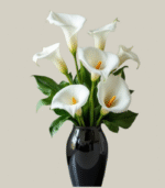 White Lilies Flower